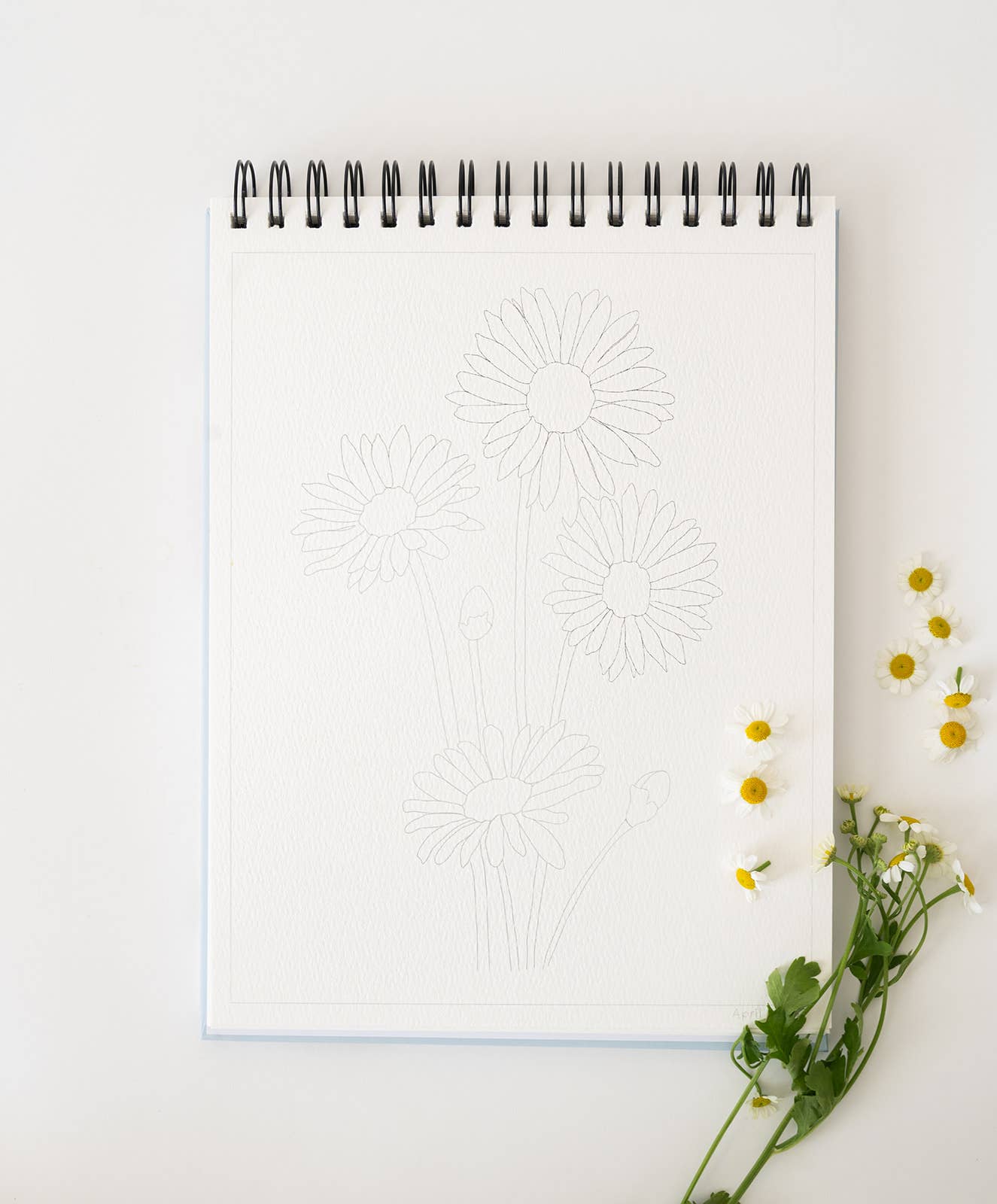 Floral Watercoloring Book