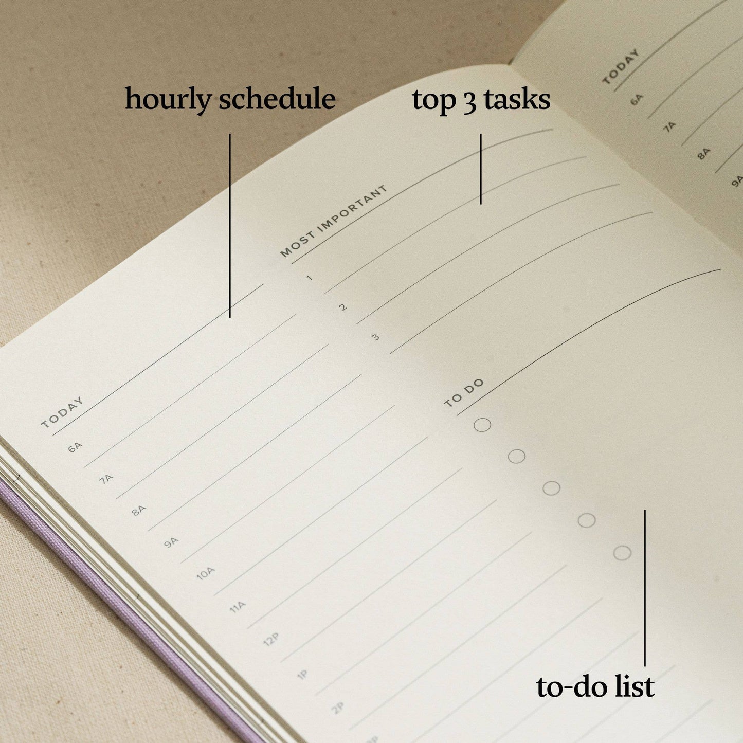 Forest Green - Undated Daily Planner