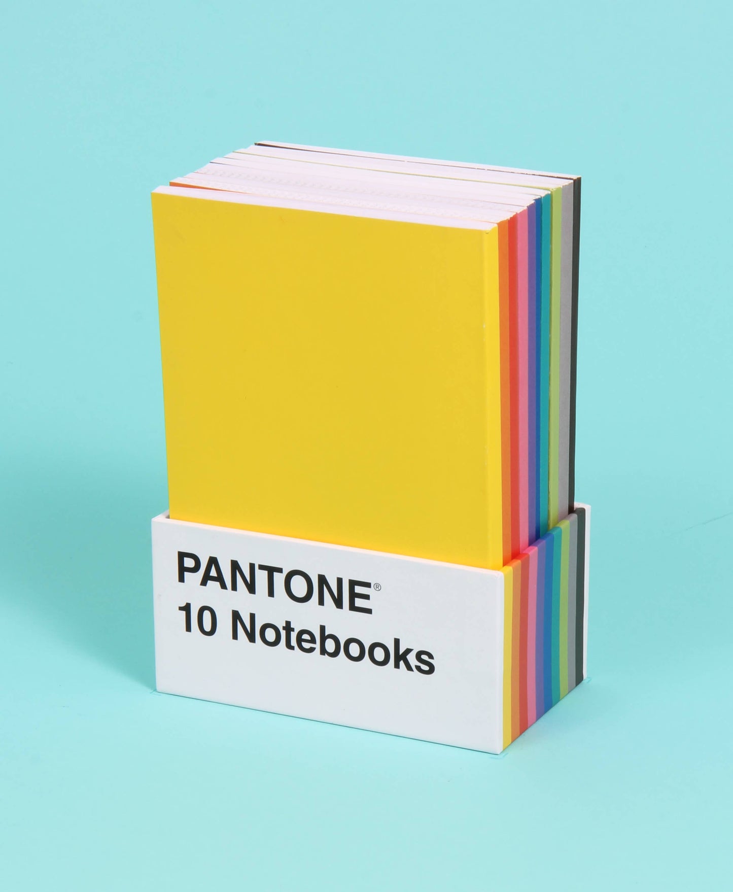 Pantone Mini Notebooks - Set of 10