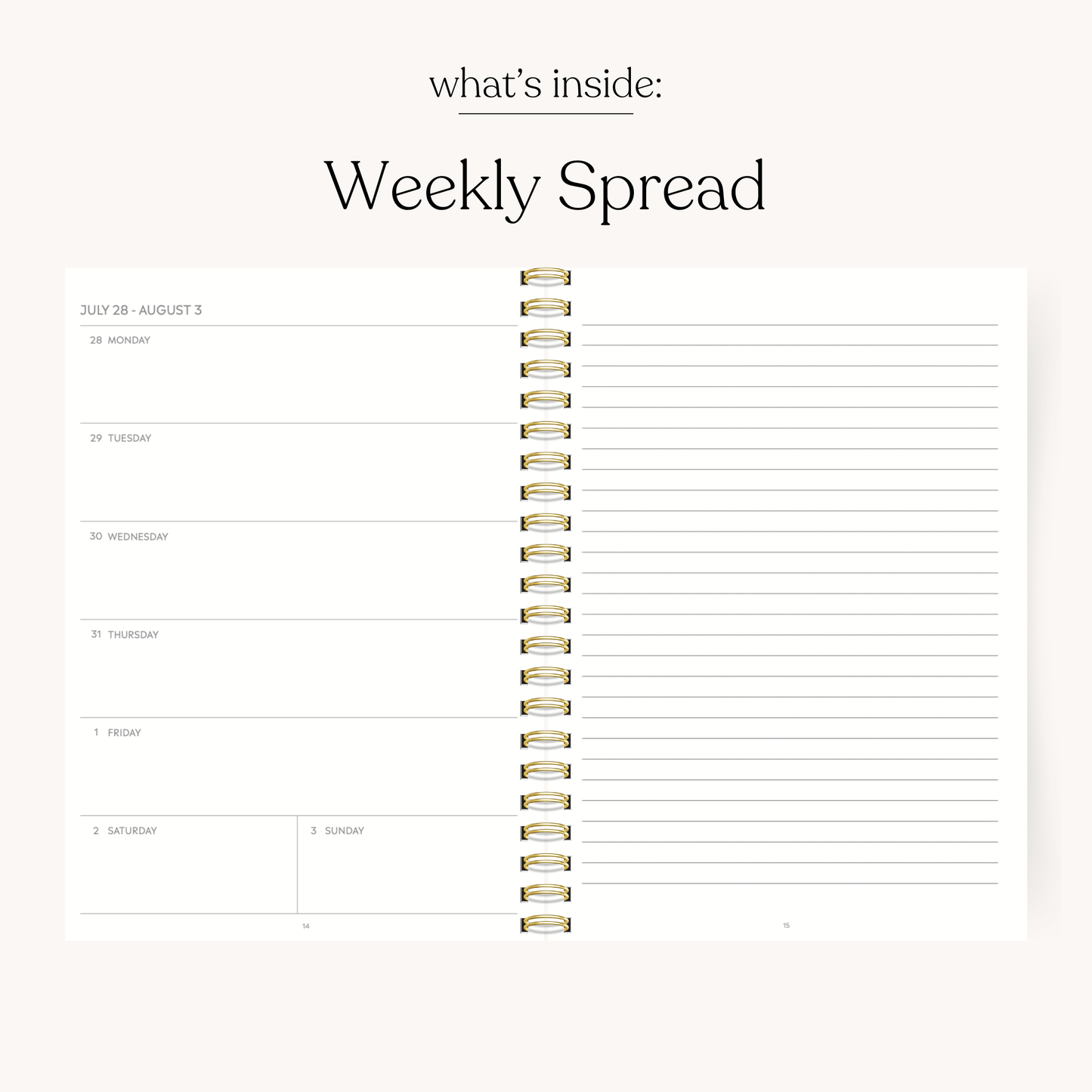 Blue Stripes - 8.5x11 Weekly Academic Planner - 2026-2027