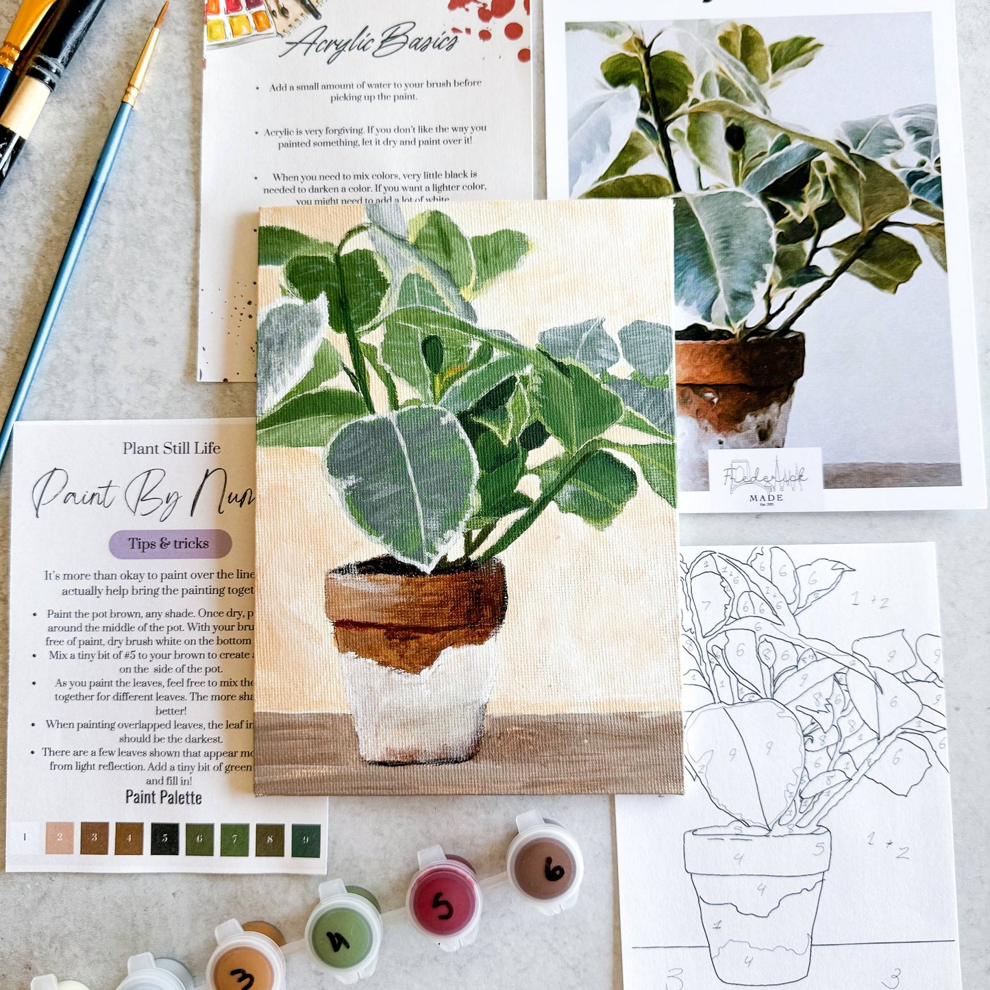 Plant Still Life - Mini Paint By Number