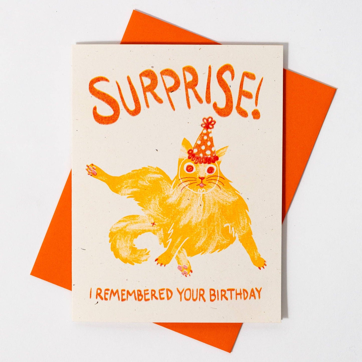 Bromstad Printing Co. - Surprise! I Remembered Your Birthday Cat - Risograph Card