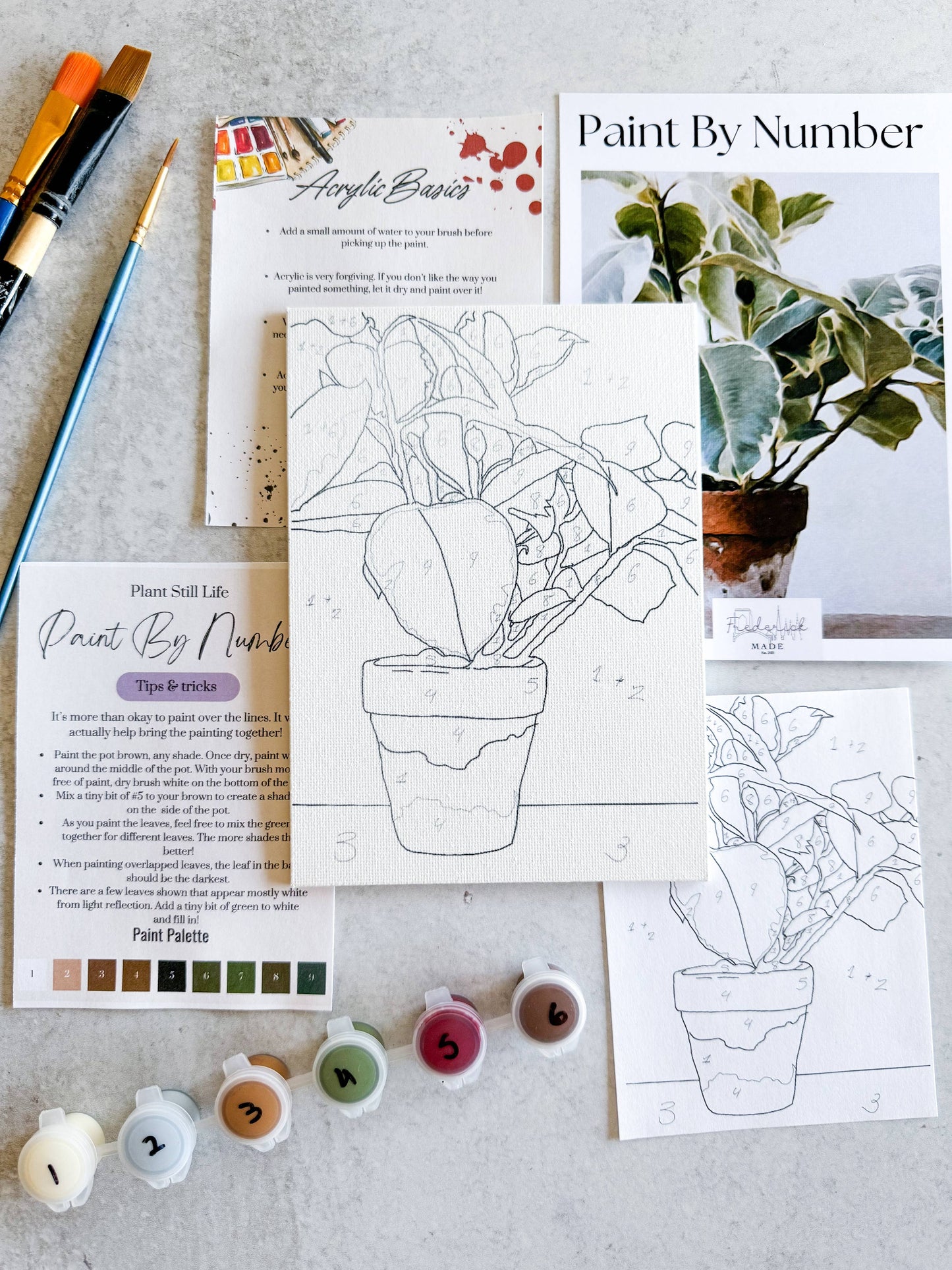 Plant Still Life - Mini Paint By Number