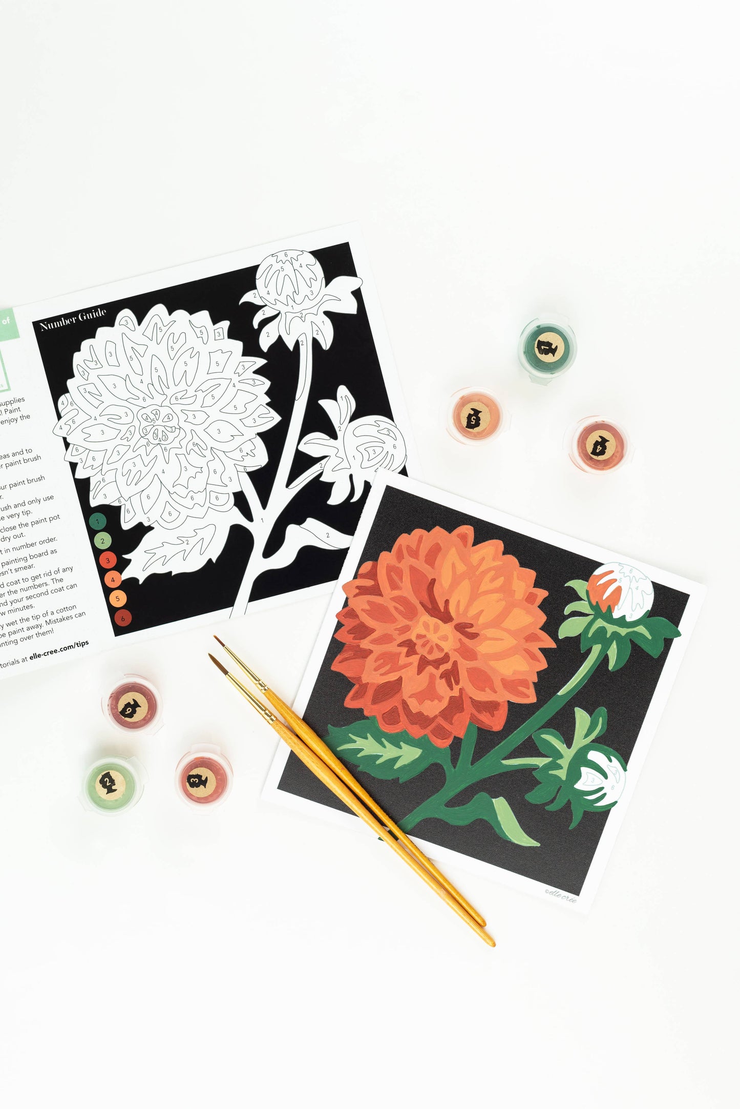 Elle Crée (She Creates) - Dahlias MINI Paint-by-Number Kit