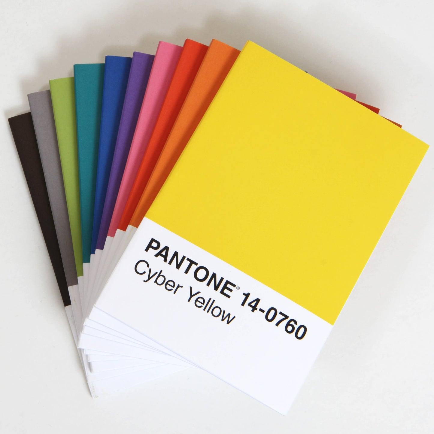 Pantone Mini Notebooks - Set of 10
