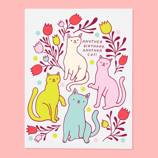 Another Cat Birthday (Bday) Card