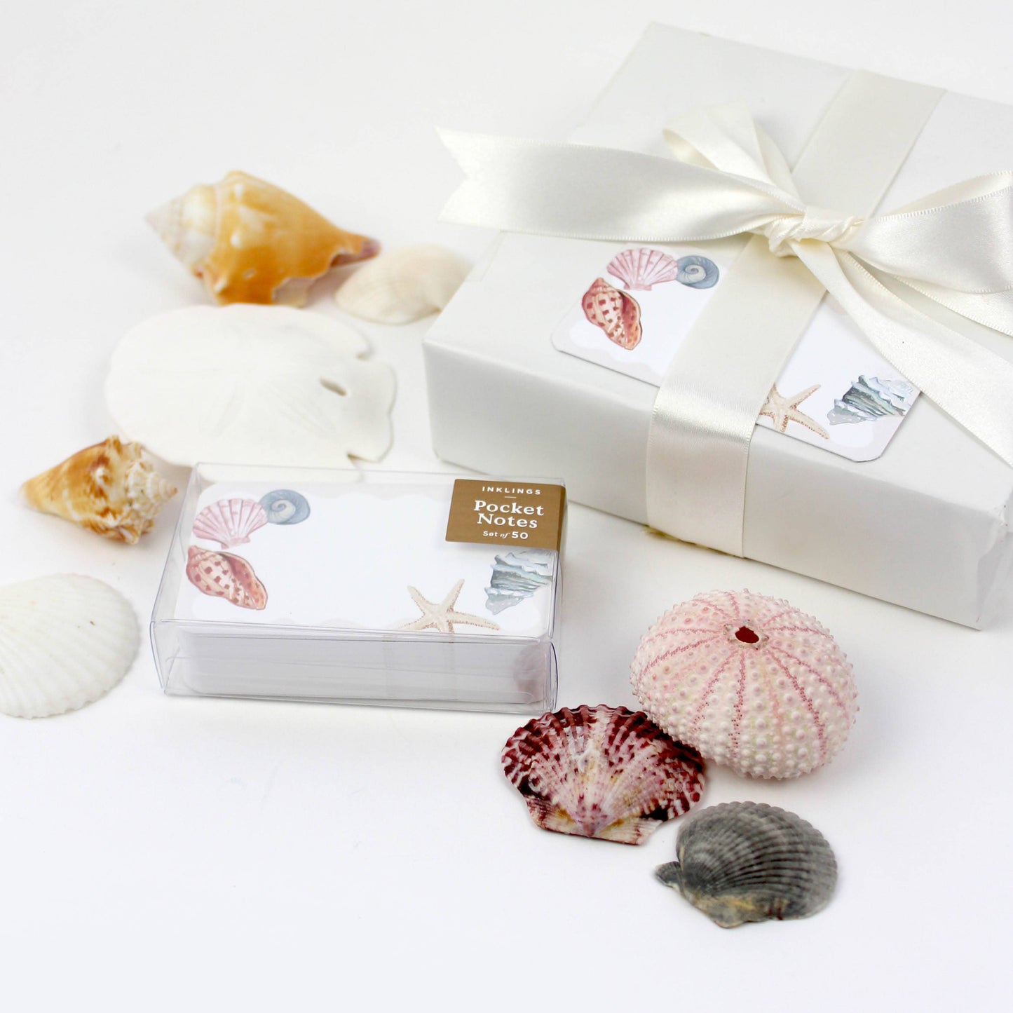 Seashells - Pocket Notes