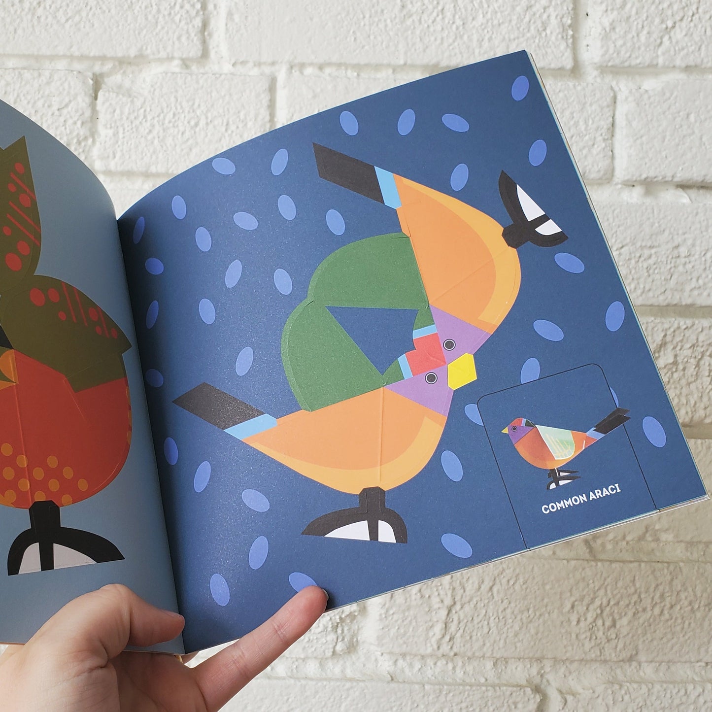 Birds - Fold & Play
